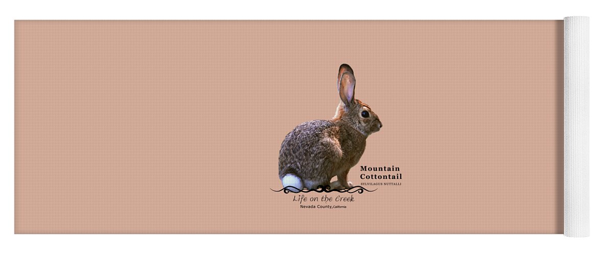 Cottontail Yoga Mat featuring the digital art Cottontail Rabbit by Lisa Redfern