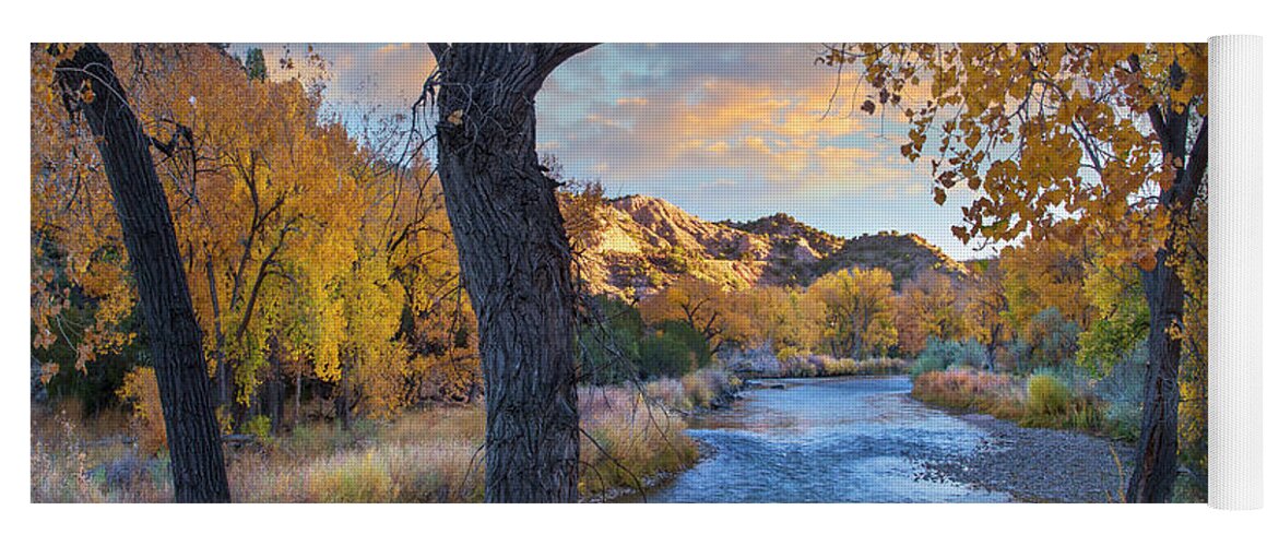 00564880 Yoga Mat featuring the photograph Cottonwoods Along The Rio Grande, Wild Rivers Recreation Area, New Mexico by Tim Fitzharris