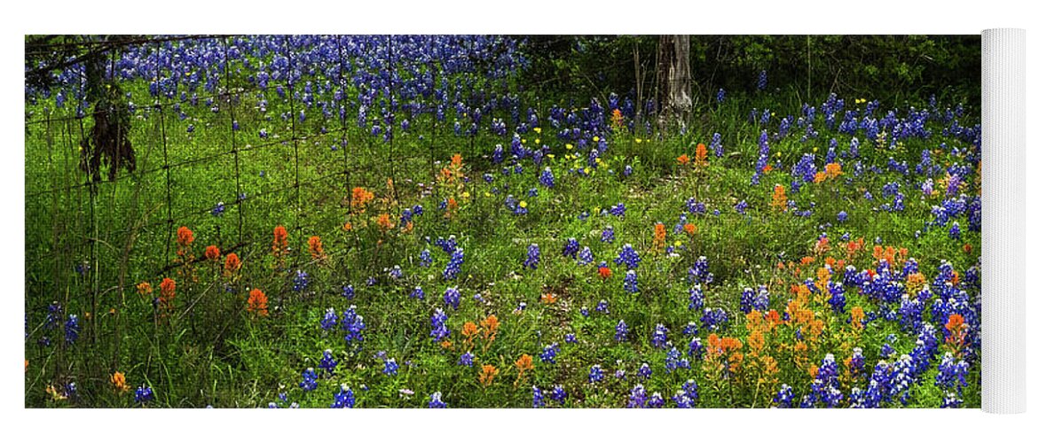 Texas Wildflowers Yoga Mat featuring the photograph Country Spring by Johnny Boyd
