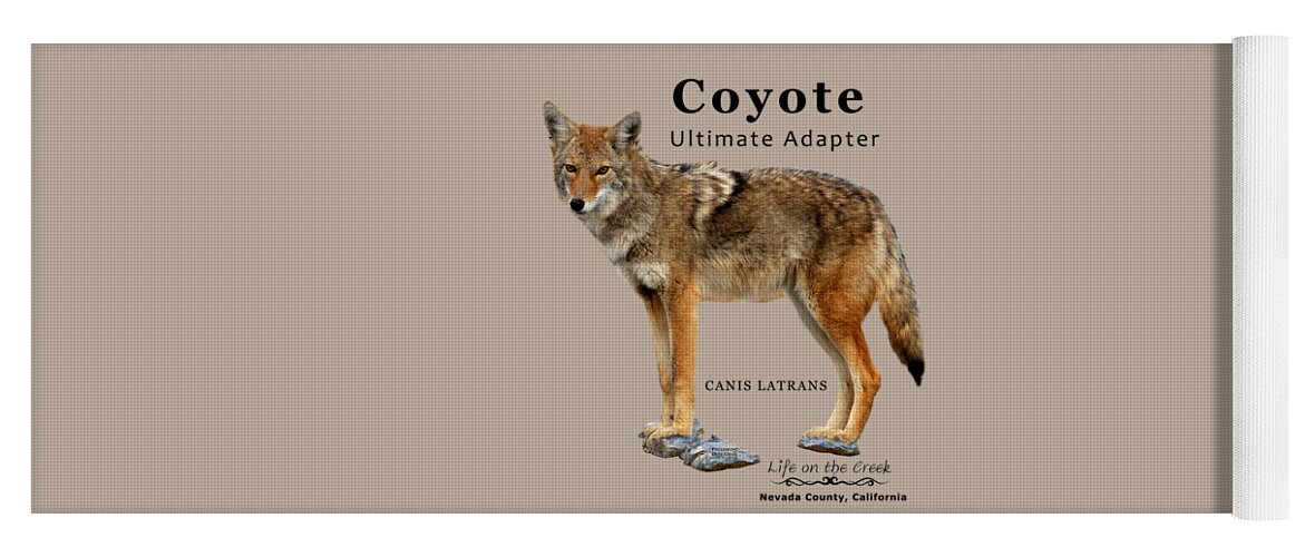 Coyote Yoga Mat featuring the digital art Coyote Ultimate Adaptor by Lisa Redfern