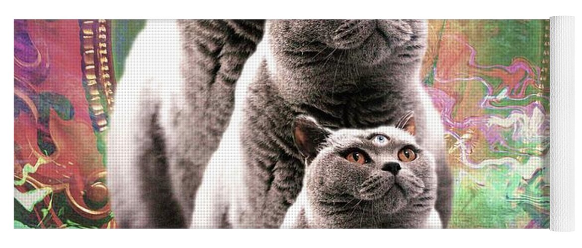 Cute Funny Buddha Cat - Third Eye Cat Yoga Mat by Random Galaxy - Pixels
