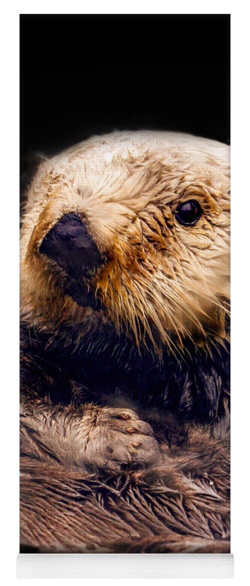 Otter Yoga Mat featuring the photograph Cute Sea Otter by Jean Noren