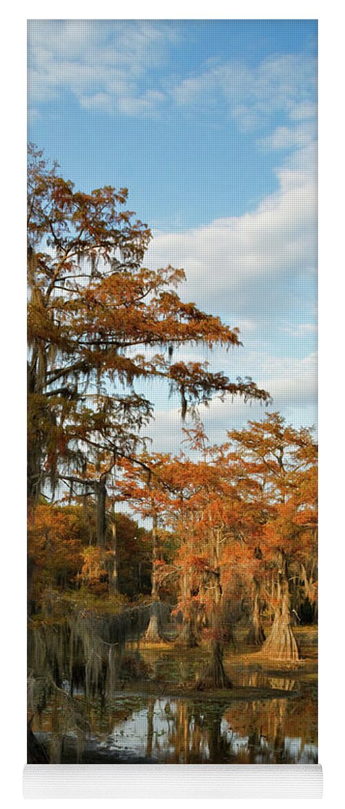 Autumn Yoga Mat featuring the photograph Cypress Rust by Lana Trussell