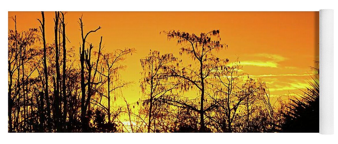 Airplane Yoga Mat featuring the photograph Cypress Swamp Sunset 3 by Steve DaPonte