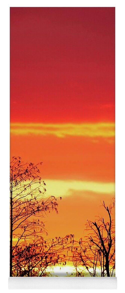 Sunset Yoga Mat featuring the photograph Cypress Swamp Sunset 5 by Steve DaPonte