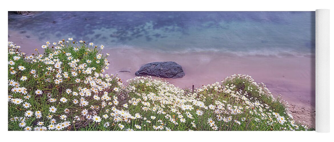 Daisy Yoga Mat featuring the photograph Dainty Daisies At The Cove by Joseph S Giacalone