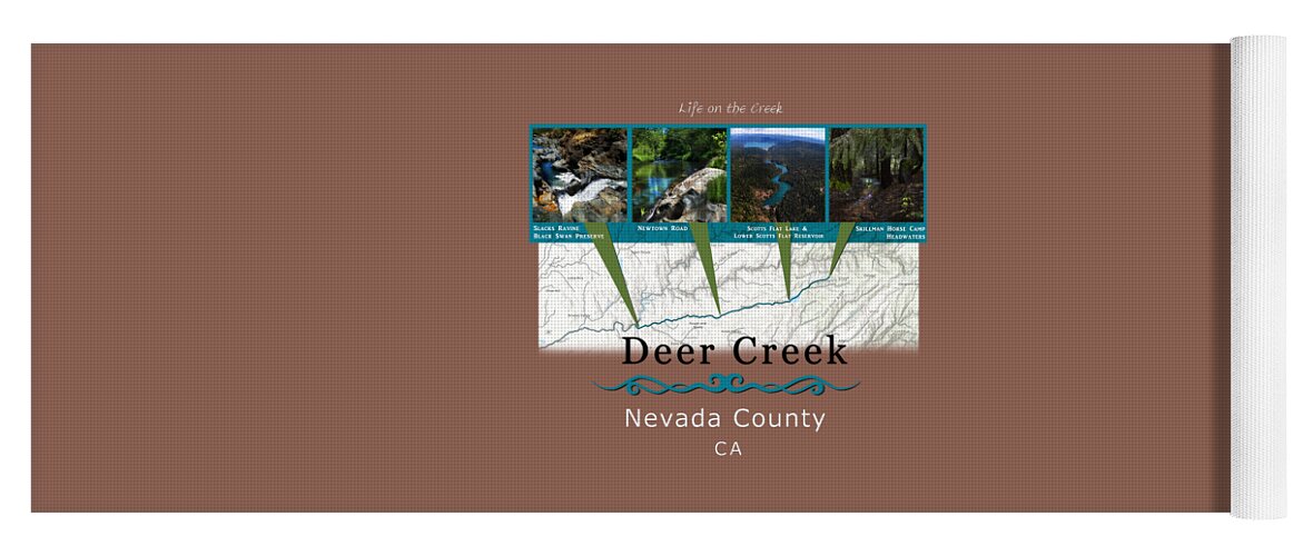Deer Creek Yoga Mat featuring the digital art Deer Creek Series Views by Lisa Redfern
