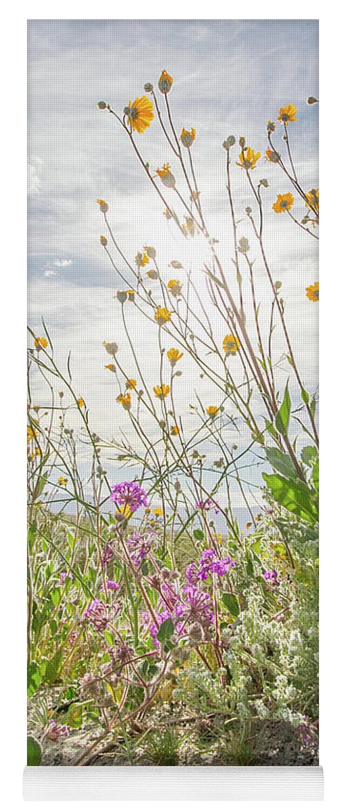 Flowers Yoga Mat featuring the photograph Desert Bloom 3 by Ryan Weddle