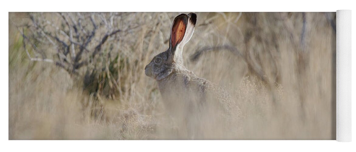 Desert Rabbit Yoga Mat featuring the photograph Desert Bunny by Robert WK Clark