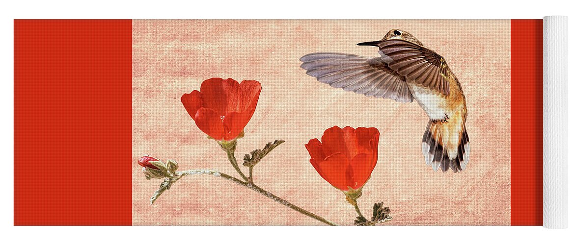 Rufous Hummingbird Yoga Mat featuring the photograph Desire by Leda Robertson