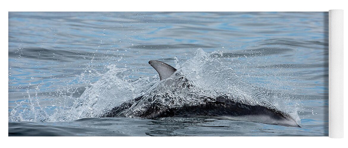 White Yoga Mat featuring the photograph Dolphin by Canadart -