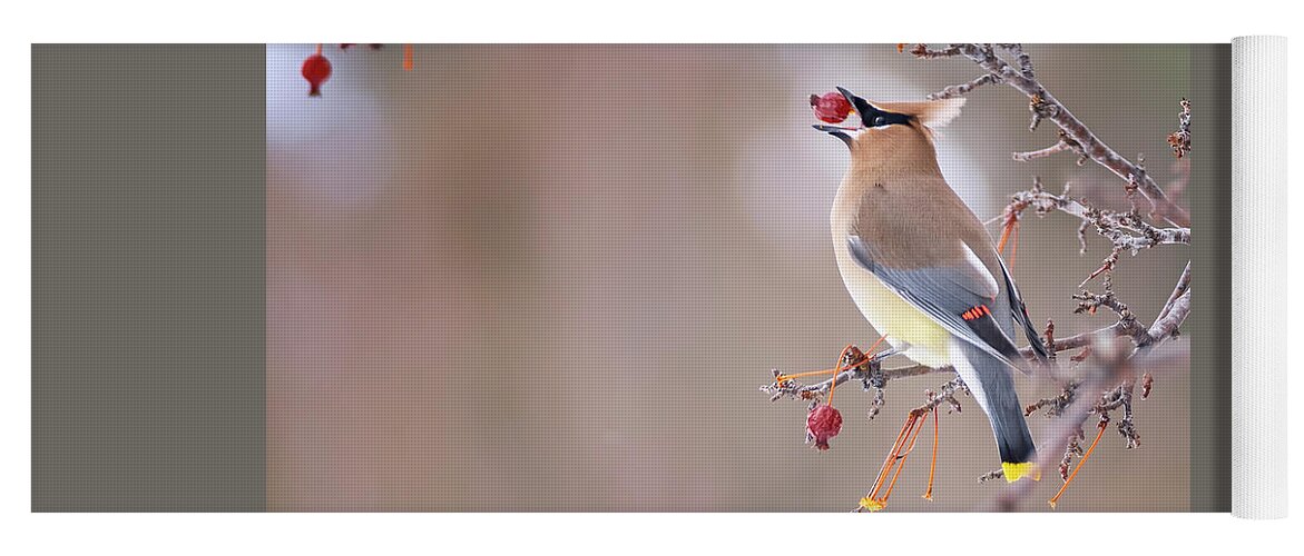 Bird Yoga Mat featuring the photograph Down the Hatch by Peg Runyan