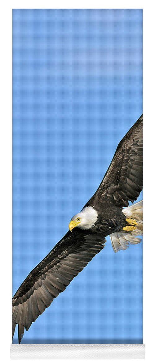 Bald Yoga Mat featuring the photograph Eagle on the Wing by Gary Langley