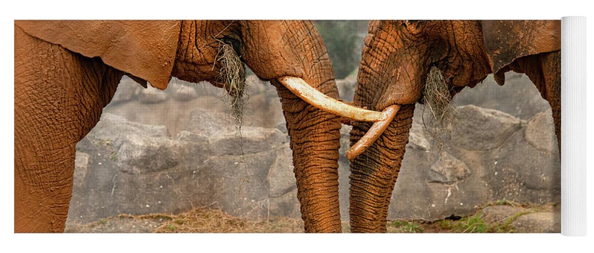 Elephants Yoga Mat featuring the photograph Elephants by Gouzel -