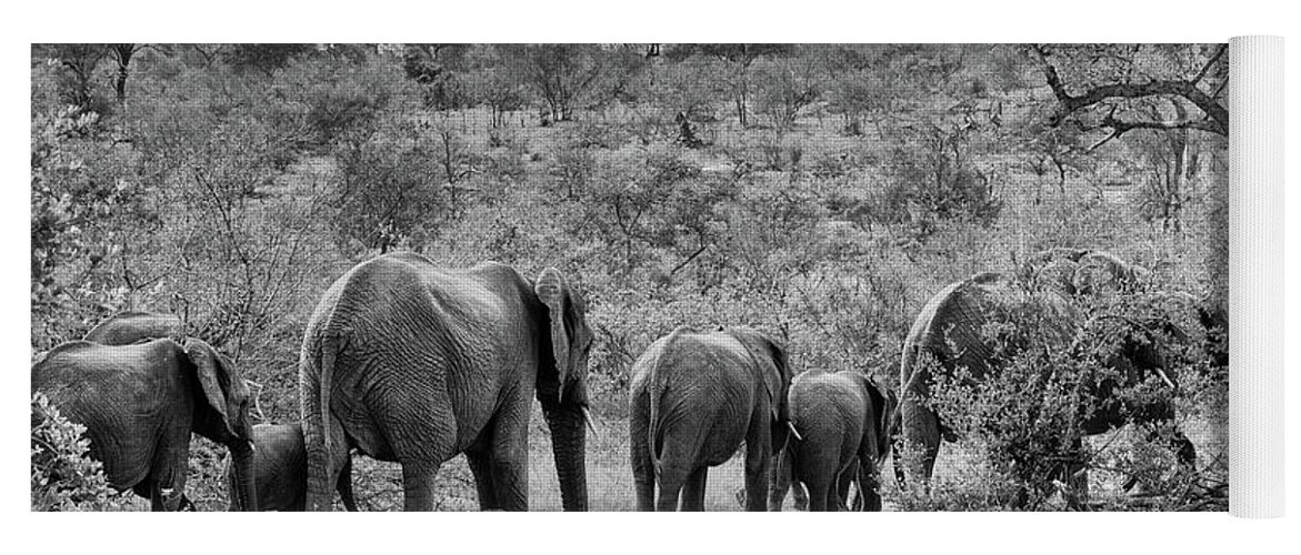 Elephants Yoga Mat featuring the photograph Elephants strolling by Mark Hunter