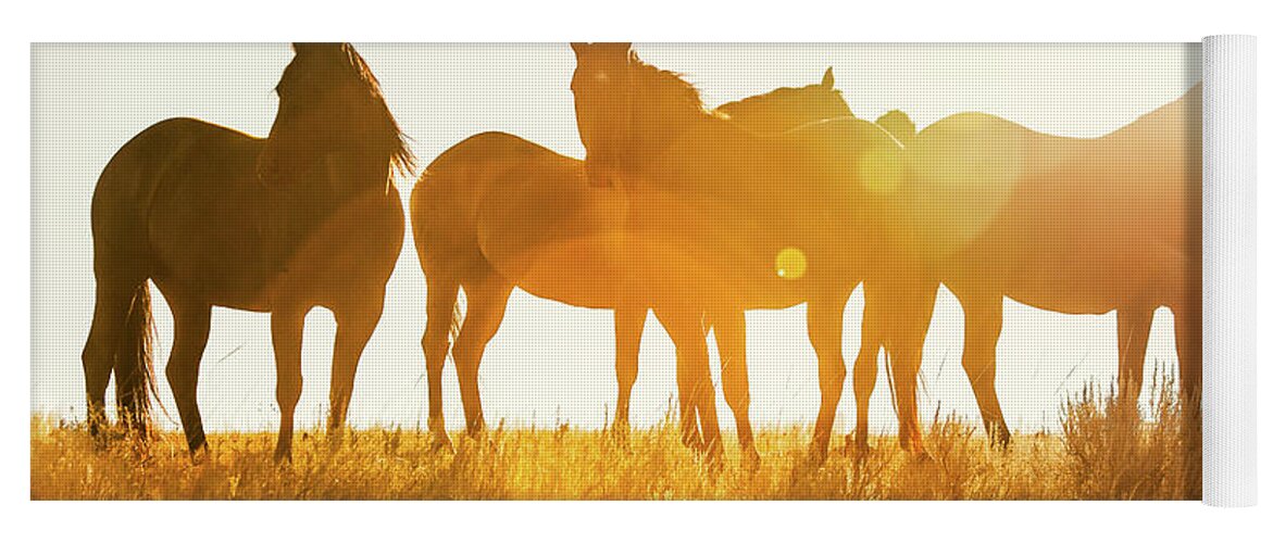 Horses Yoga Mat featuring the photograph Equine Glow by Todd Klassy