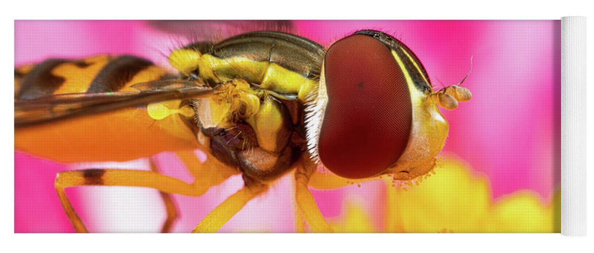 Macro Hoverfly Hover Fly Fly Flies Insect Extreme Macro Close-up Closeup Close Up Magnify Magnification Outside Outdoors Nature Flower Brian Hale Brianhalephoto Yoga Mat featuring the photograph Extreme Hoverfly by Brian Hale