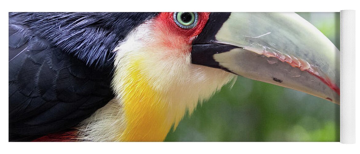 Toucan Yoga Mat featuring the photograph Eye on eye by Leandro Rocha