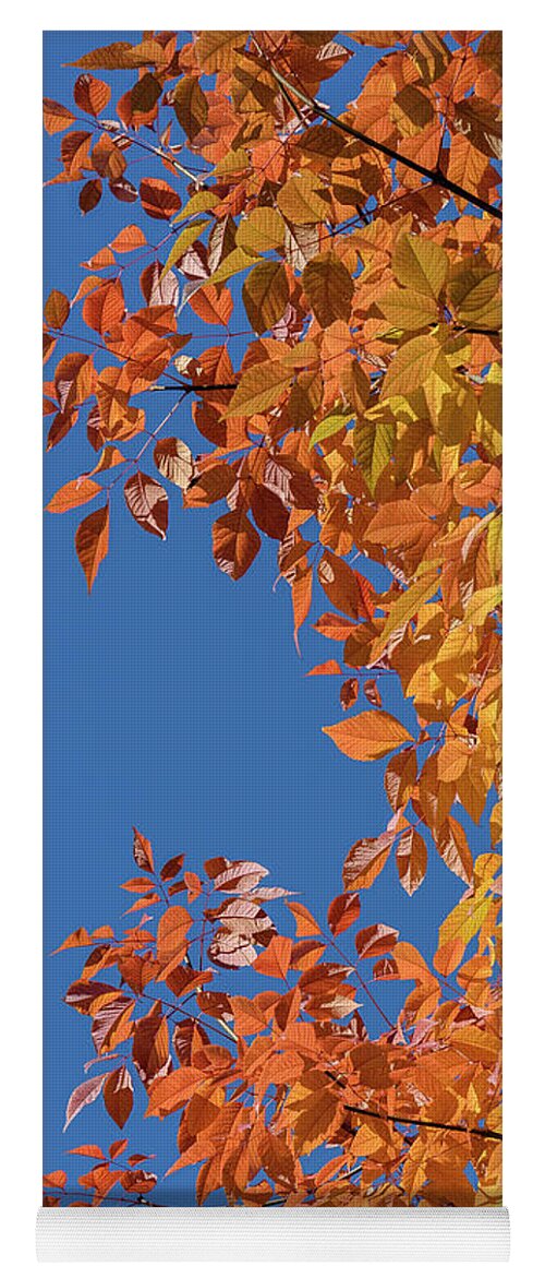 Fall Yoga Mat featuring the photograph Fall Colors by Steven Sparks