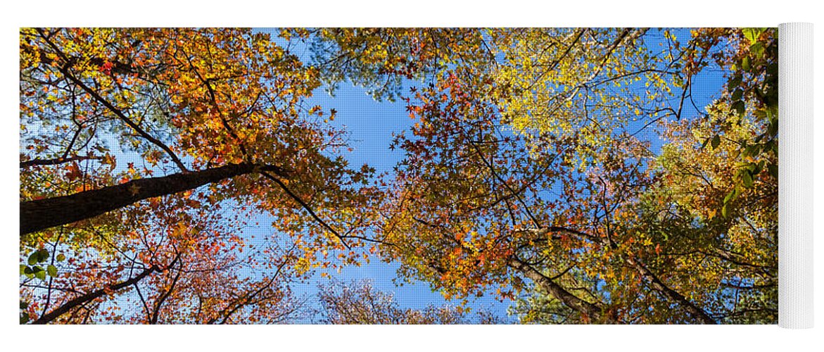 Fall Leaves Yoga Mat featuring the photograph Fall Leaves by Chris Spencer