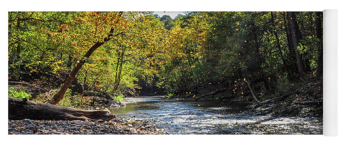 Falling Yoga Mat featuring the photograph Falling Leaves - Wissahickon Creek by Bill Cannon