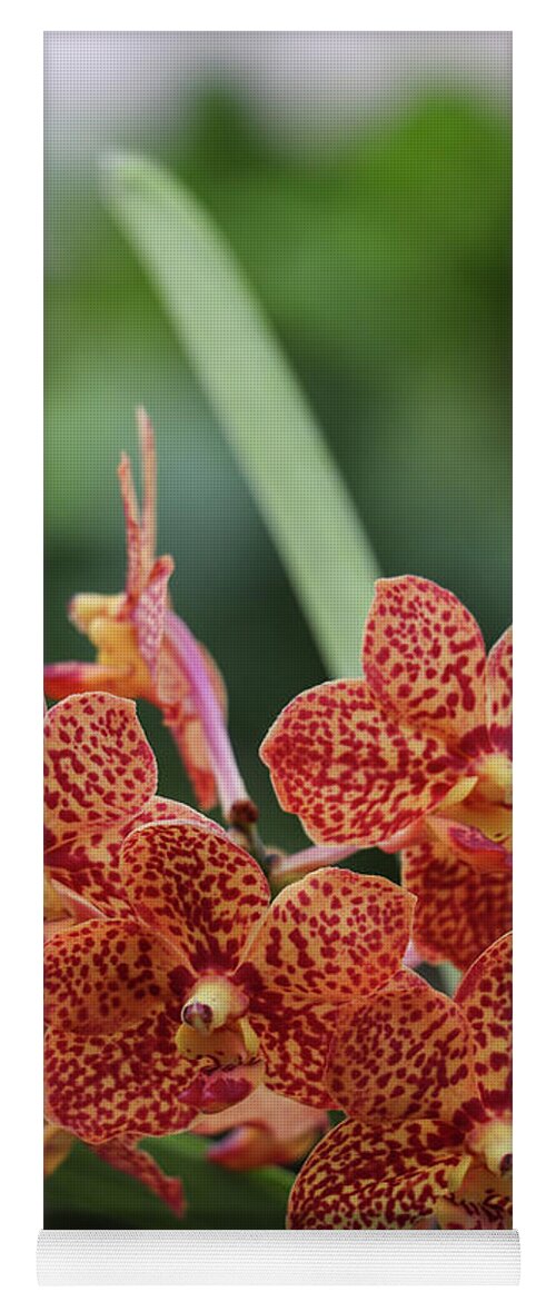 Orchids Yoga Mat featuring the photograph Family of Orange Spotted Orchids by Rory Ivey