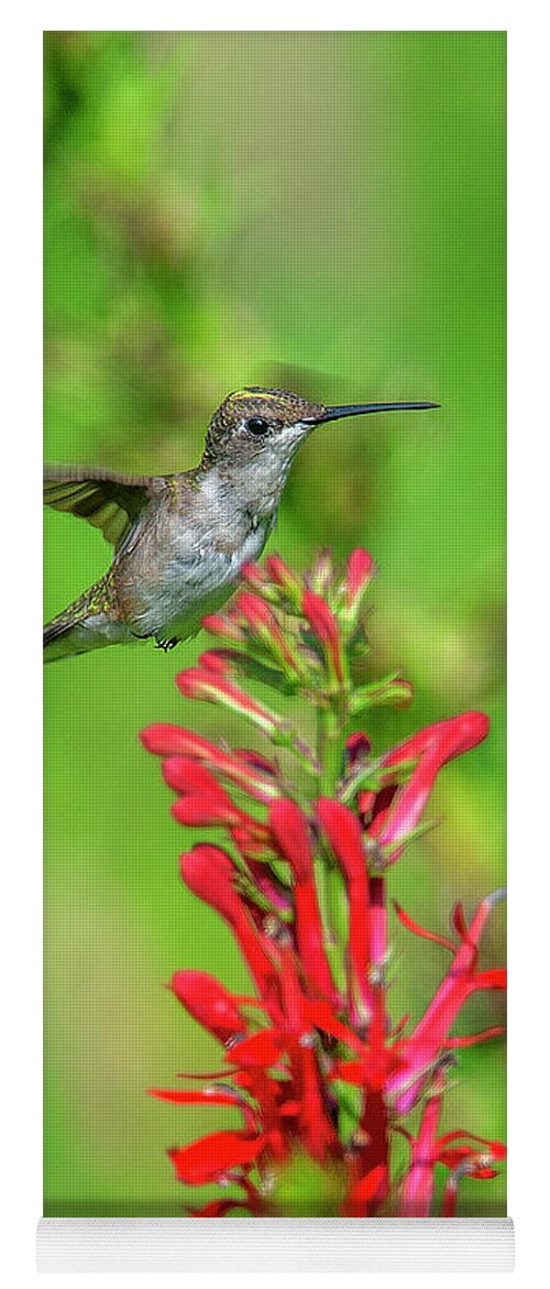 Nature Yoga Mat featuring the photograph Female Ruby-throated Hummingbird DSB0316 by Gerry Gantt
