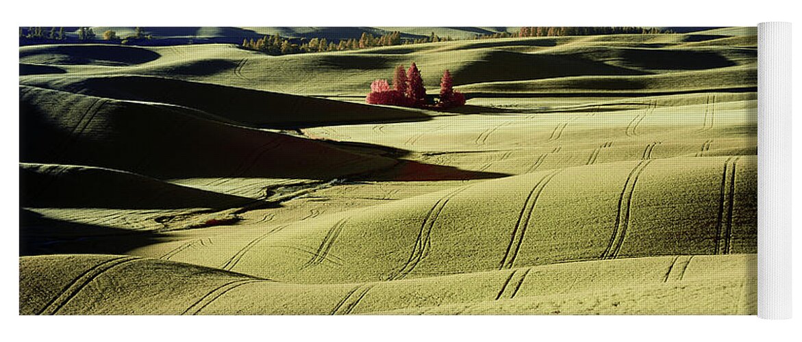 Jon Glaser Yoga Mat featuring the photograph Fields in the Palouse by Jon Glaser