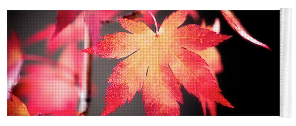Autumn Yoga Mat featuring the photograph Fire Leaves by Philippe Sainte-Laudy
