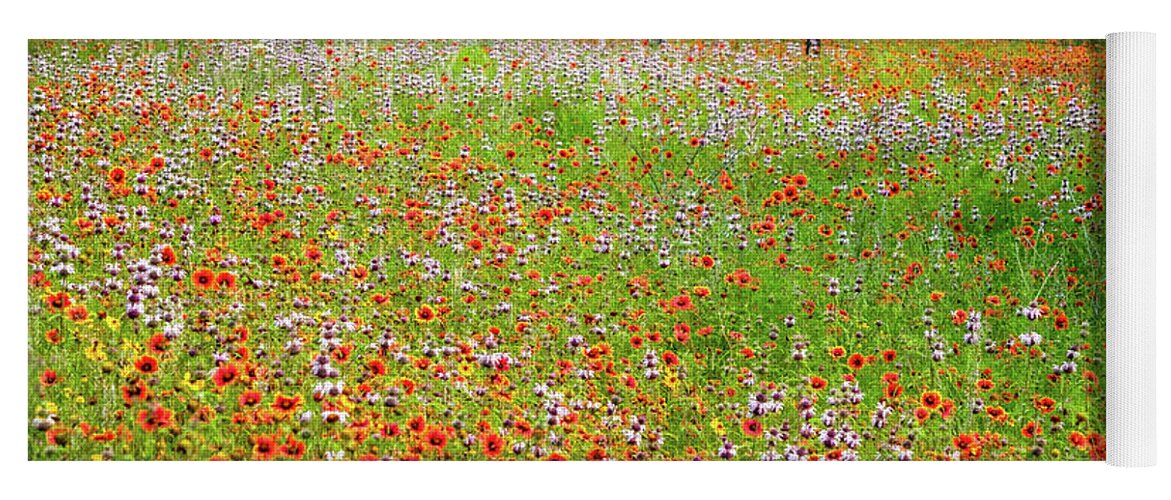 Texas Wildflowers Yoga Mat featuring the photograph Fire Wheel Bliss by Johnny Boyd