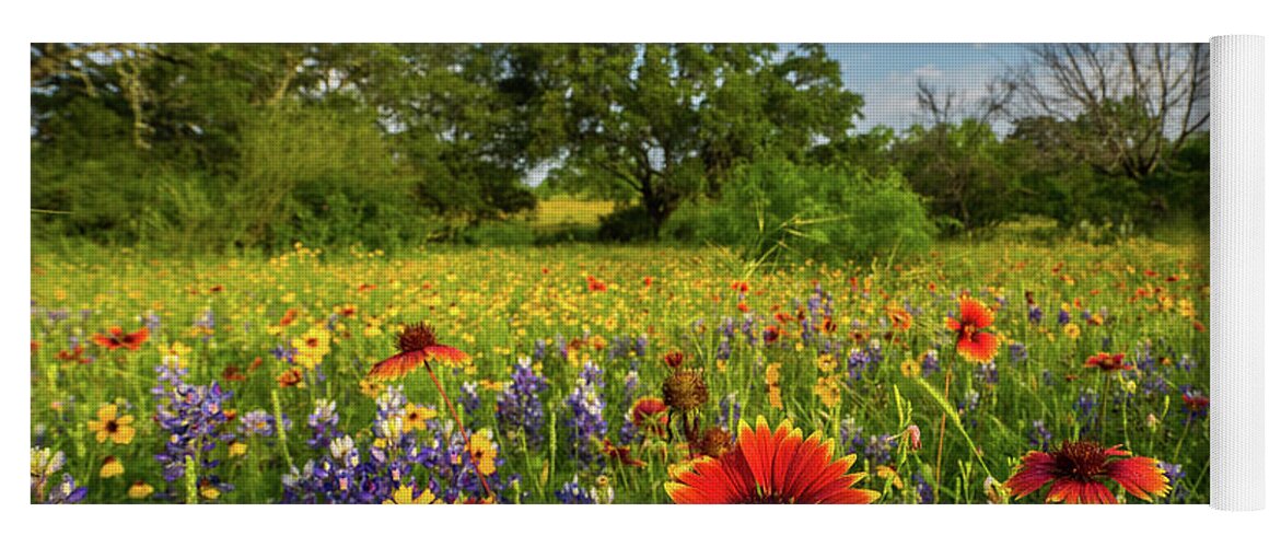 Texas Wildflowers Yoga Mat featuring the photograph Fire Wheel by Johnny Boyd