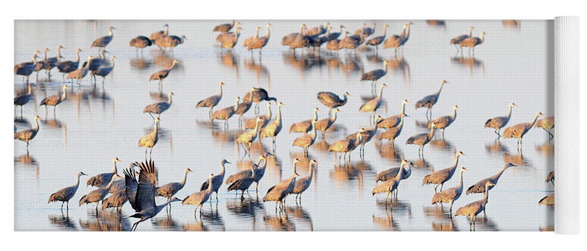 Richard E. Porter Yoga Mat featuring the photograph First One Off, Color - Muleshoe Wildlife Refuge, Texas by Richard Porter