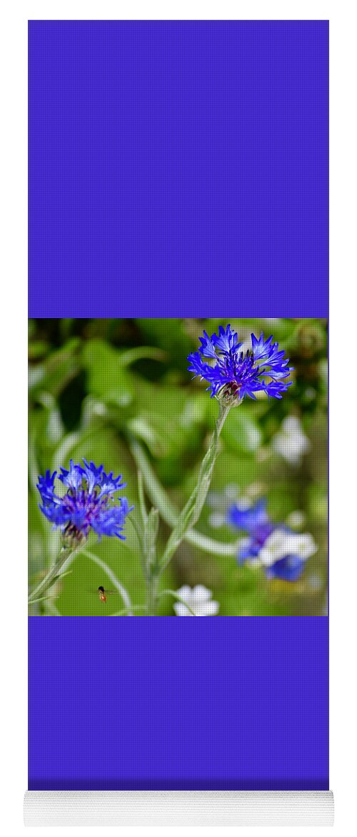 Cornflower Yoga Mat featuring the photograph Flight of the Tiny Bee by Debra Grace Addison