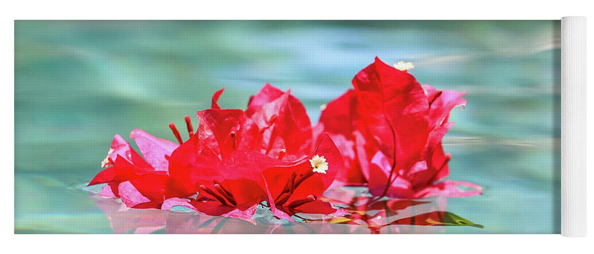 Arizona Yoga Mat featuring the photograph Floating Bouganvillea by Dawn Richards