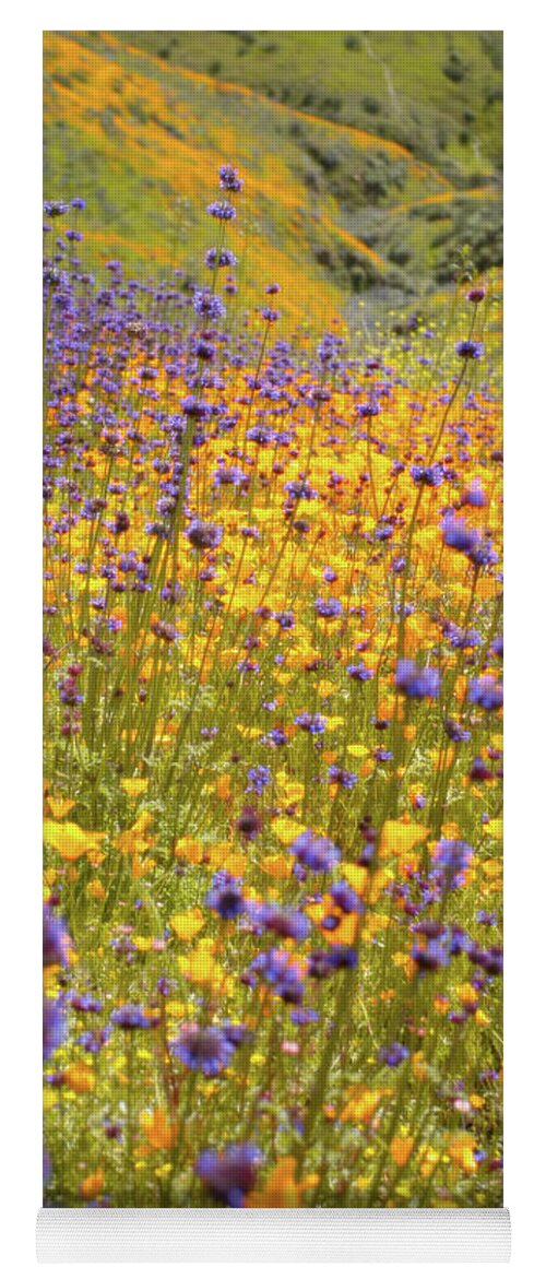Flowers Yoga Mat featuring the photograph Flora 6 by Ryan Weddle