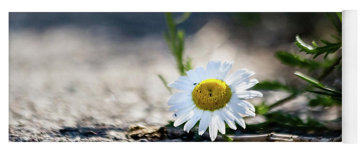 Beautiful Yoga Mat featuring the photograph Flower streetside by SAURAVphoto Online Store