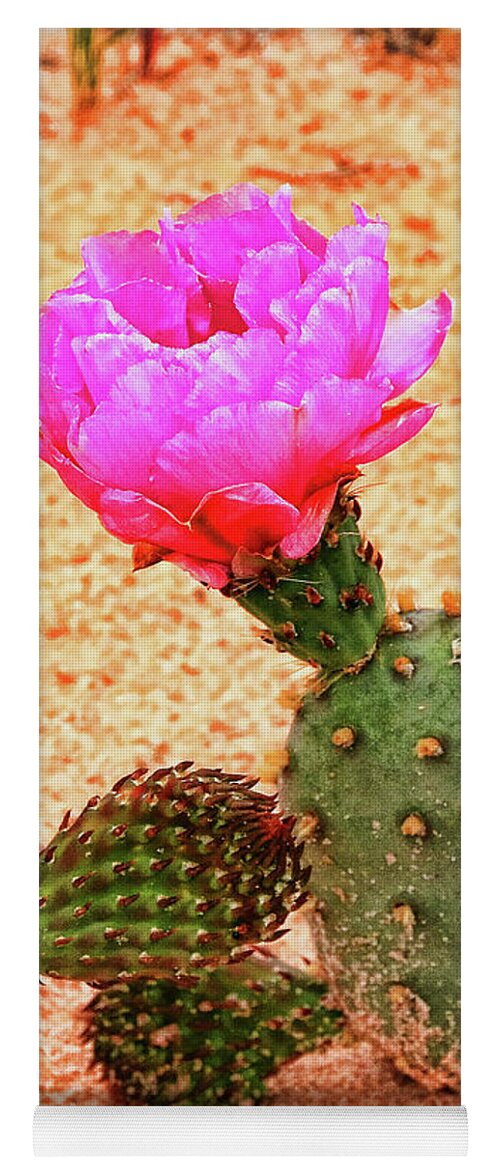 Flower Yoga Mat featuring the photograph Flowering Cactus by Allen Beatty
