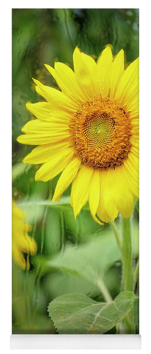 Sunflowers Yoga Mat featuring the photograph Flowers in the Rain 4 by Deborah Penland