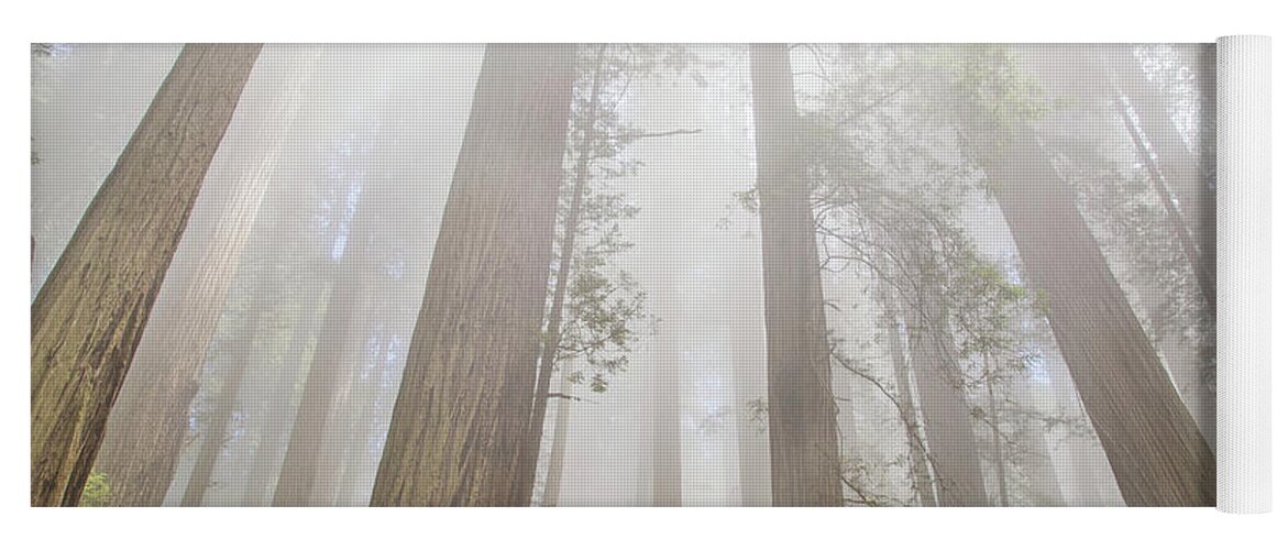 Redwoods Fog Yoga Mat featuring the photograph Fog in the redwoods by Kunal Mehra