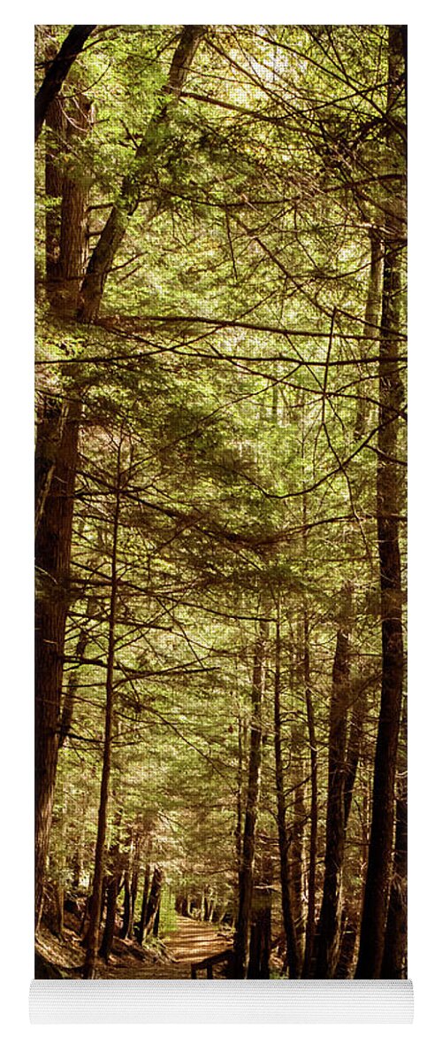 Terry Deluco Yoga Mat featuring the photograph Follow The Path Cook Forest PA Square by Terry DeLuco