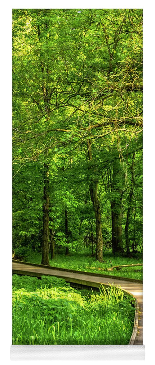 Boardwalk Yoga Mat featuring the photograph Forest Boardwalk by Tito Slack