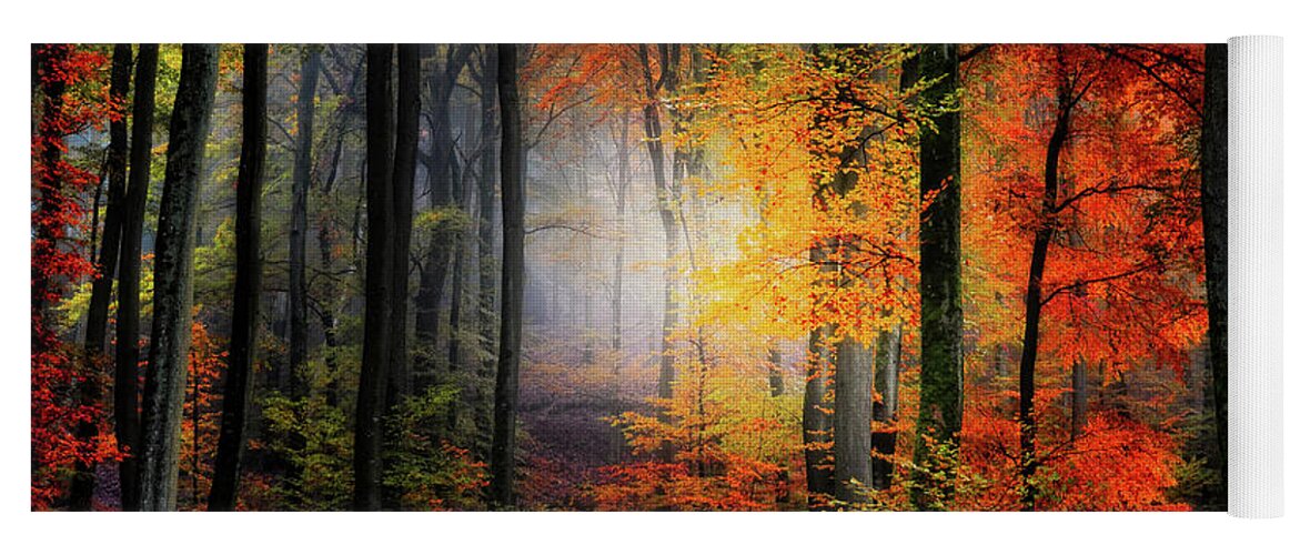 Forest Yoga Mat featuring the photograph Forest Light by Philippe Sainte-Laudy