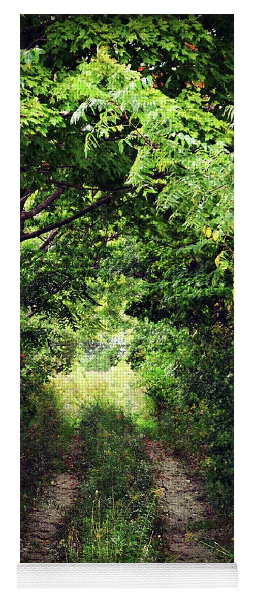Forest Path Yoga Mat featuring the photograph Forest Path by Cyryn Fyrcyd