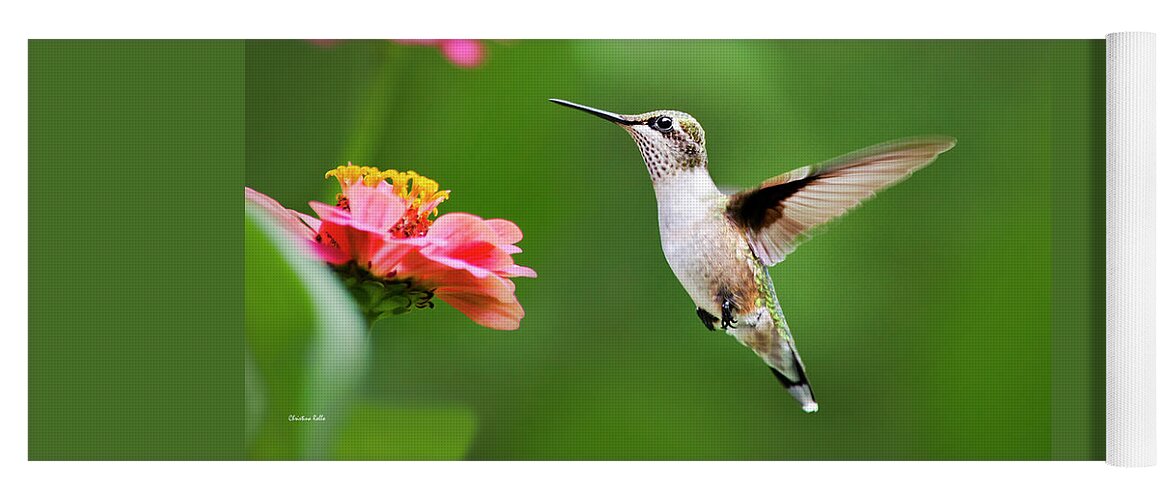 Hummingbird Yoga Mat featuring the photograph Free As A Bird Hummingbird by Christina Rollo