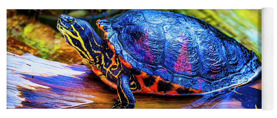 Freshwater Yoga Mat featuring the photograph Freshwater Aquatic Turtle by Garry Gay