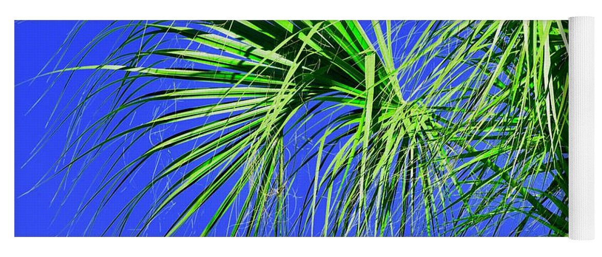 Palm Tree Yoga Mat featuring the photograph Fringe by Debra Grace Addison