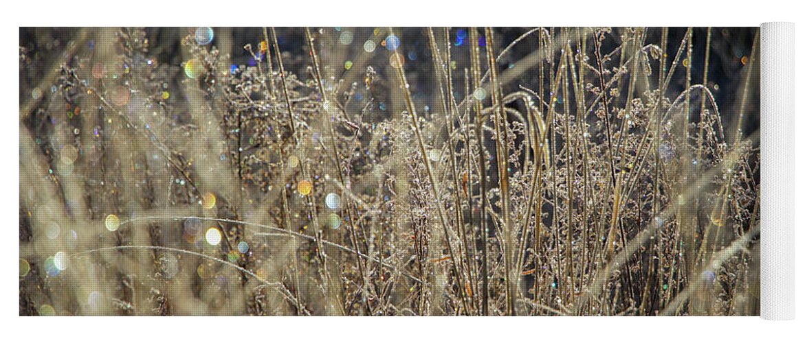 Frost Yoga Mat featuring the photograph Frosty Meadow Grass 1 by Randy Robbins