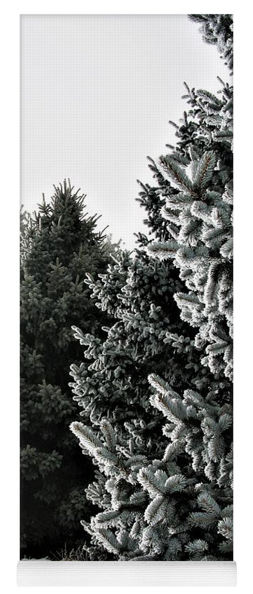 Snow Yoga Mat featuring the photograph Frozen Fog on Conifers by Diane Chandler