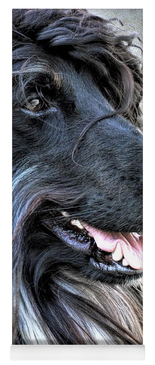 Afghan Hound Yoga Mat featuring the photograph Full of Himself by Diane Chandler