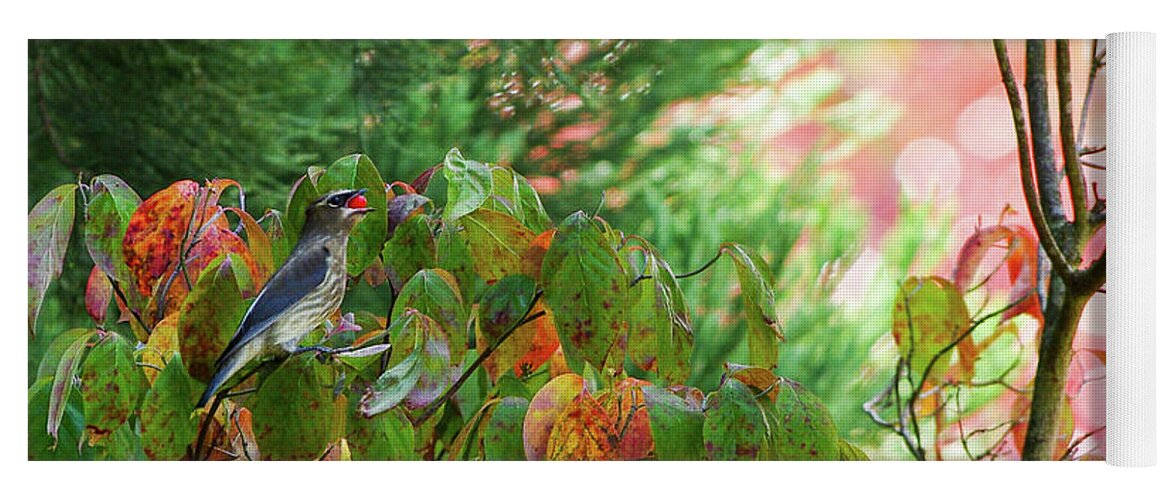 Cedar Waxwing Yoga Mat featuring the photograph Garden Delight by Teresa Herlinger